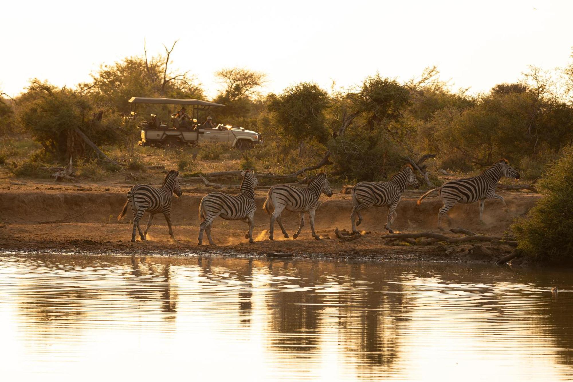 Rhulani Safari Lodge Madikwe Game Reserve Exterior foto