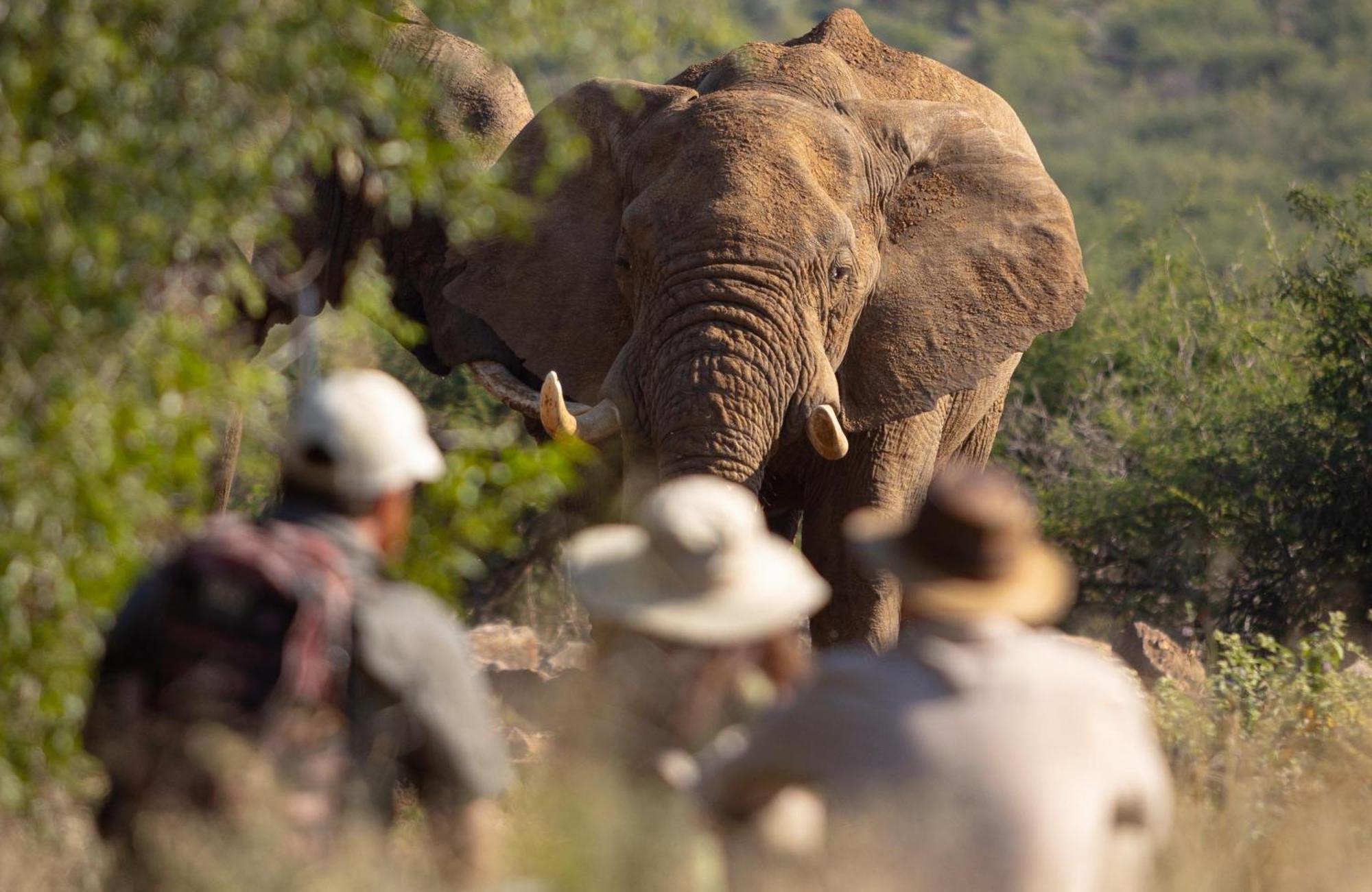 Rhulani Safari Lodge Madikwe Game Reserve Exterior foto